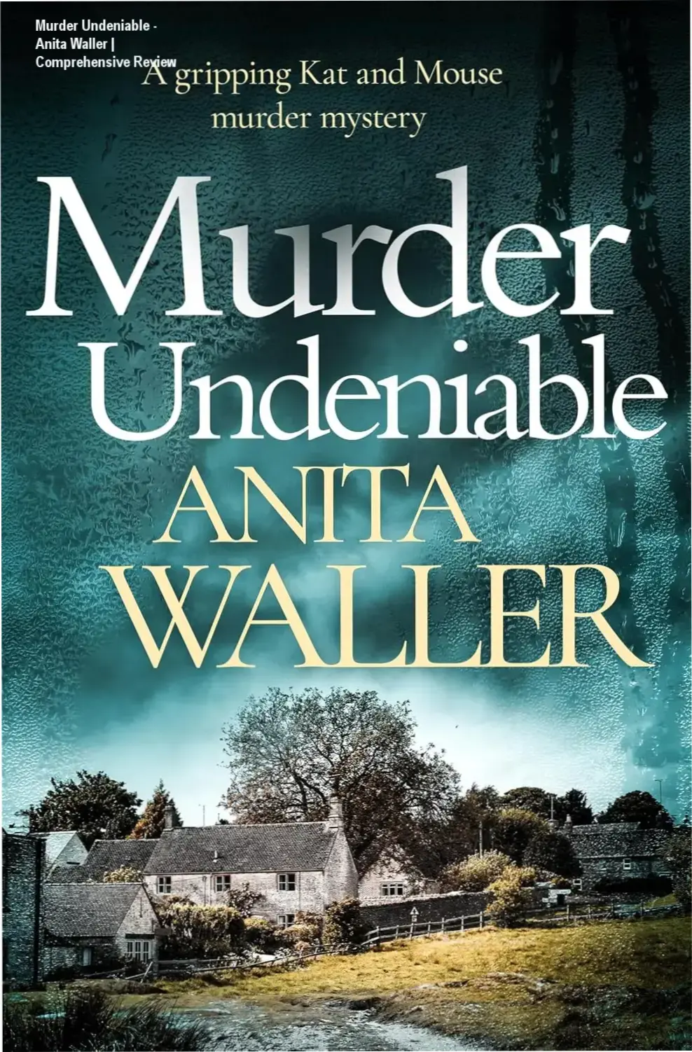 Murder Undeniable - Anita Waller | Comprehensive Review