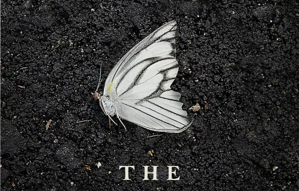 The Butterfly Garden book cover depicting a psychological thriller theme