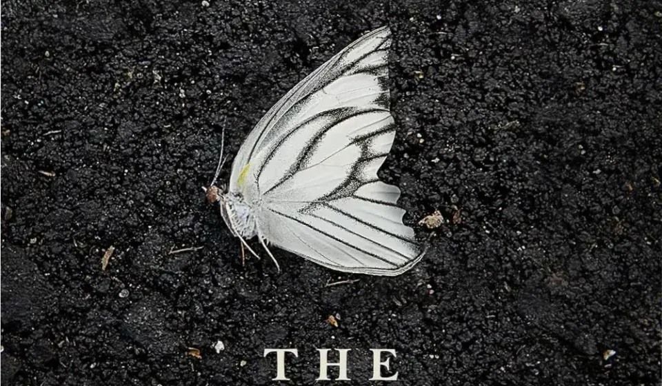 The Butterfly Garden book cover depicting a psychological thriller theme
