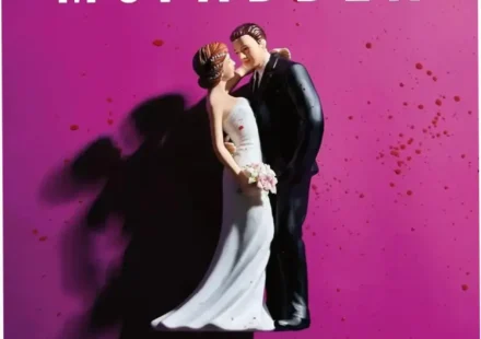 The Divorce by Freida McFadden book cover focusing on psychological thriller themes