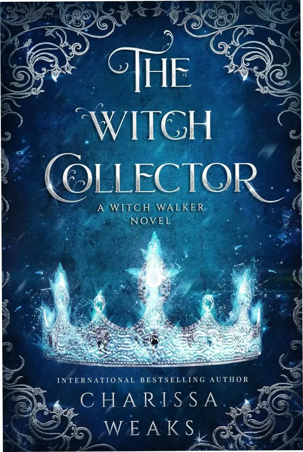 The Witch Collector - Charissa Weaks | Final Verdict