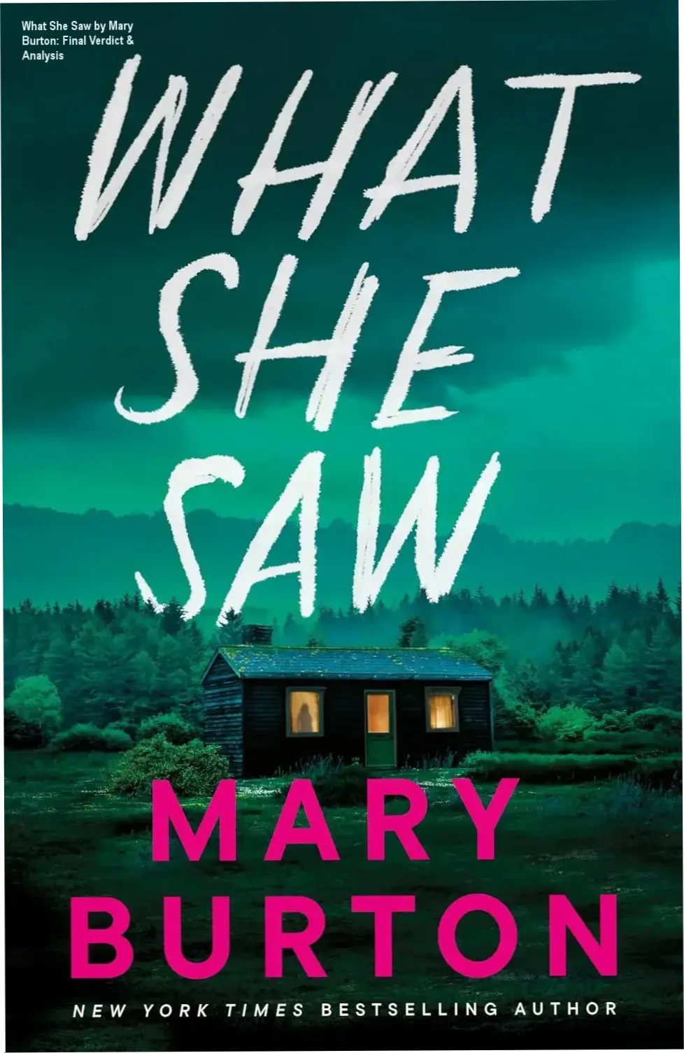 What She Saw by Mary Burton: Final Verdict & Analysis