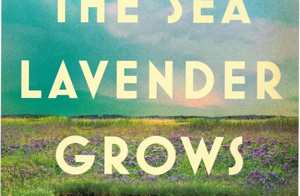 Digital cover of the novel Where the Sea Lavender Grows by Kitty Johnson