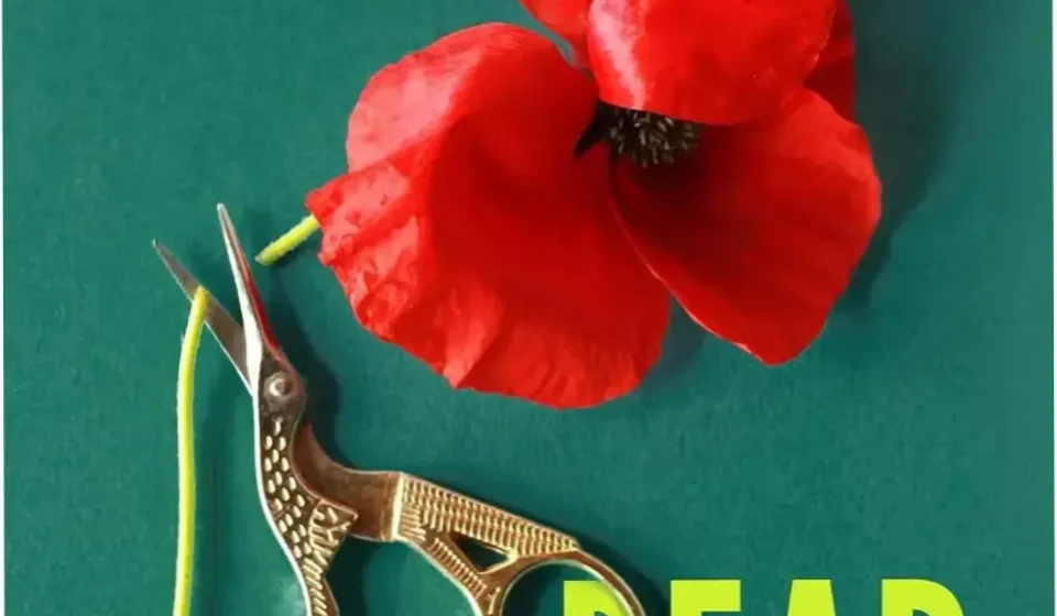 Digital cover of Dear Debbie by Freida McFadden representing a psychological thriller