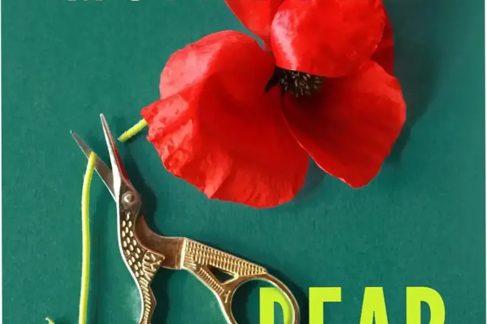 Digital cover of Dear Debbie by Freida McFadden representing a psychological thriller