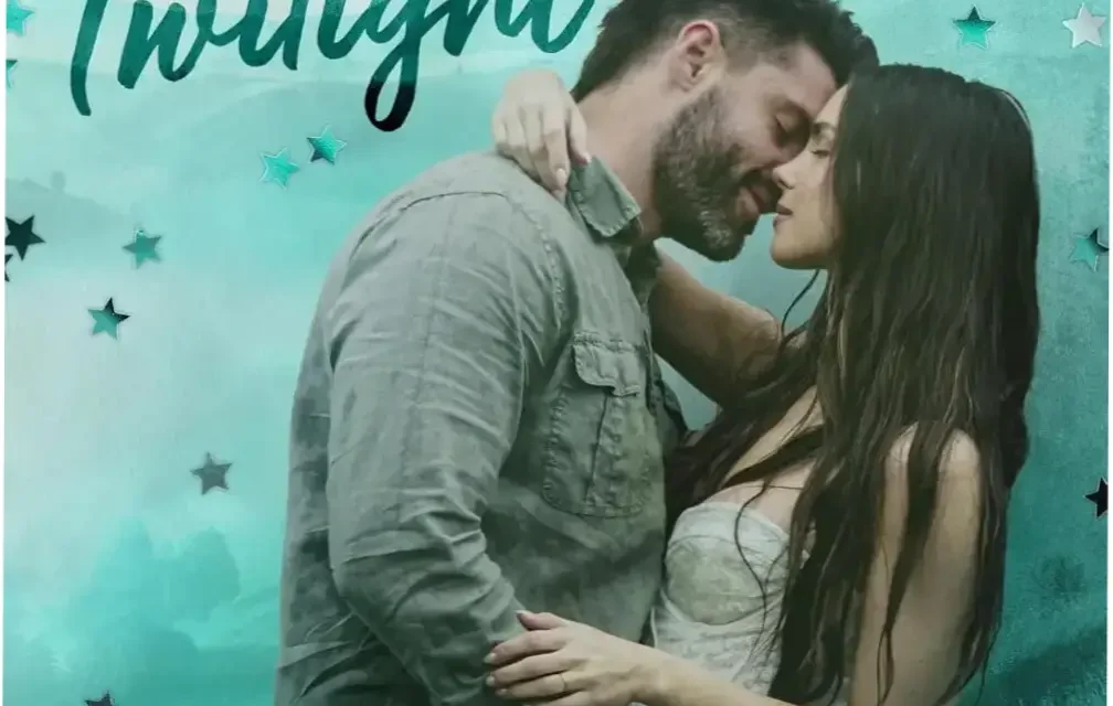 Digital cover of Into the Fading Twilight by Catherine Cowles romantic suspense ebook