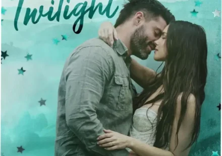 Digital cover of Into the Fading Twilight by Catherine Cowles romantic suspense ebook