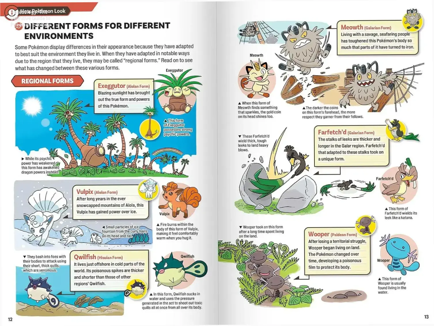 Pokécology: The Definitive Guide to Pokémon Ecology
