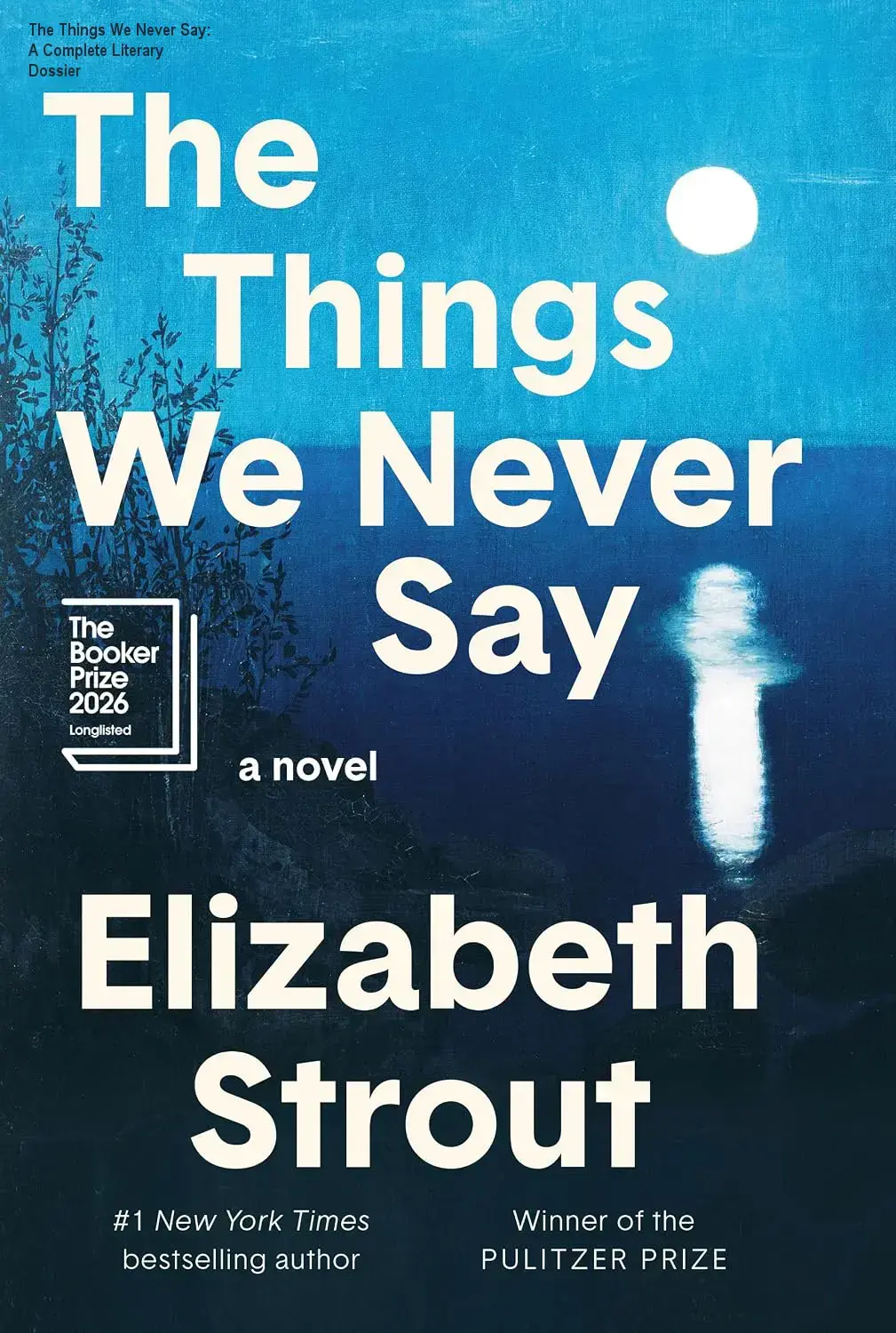 The Things We Never Say: A Complete Literary Dossier